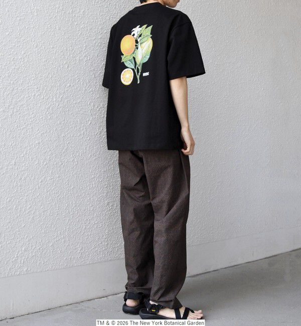 SHIPS any「【SHIPS any別注】NYBG: ボタニカル プリント リラックス Tシャツ◇」|Tシャツ・カットソー|