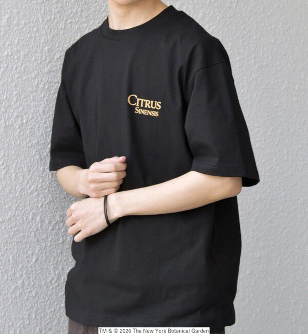 SHIPS any「【SHIPS any別注】NYBG: ボタニカル プリント リラックス Tシャツ◇」|Tシャツ・カットソー|