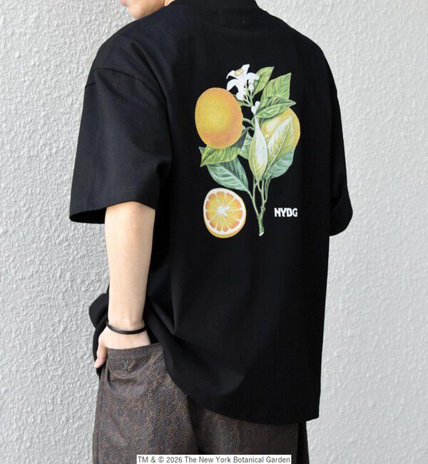 SHIPS any「【SHIPS any別注】NYBG: ボタニカル プリント リラックス Tシャツ◇」|Tシャツ・カットソー|