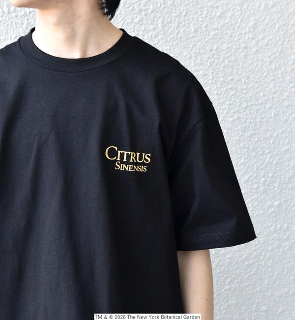 SHIPS any「【SHIPS any別注】NYBG: ボタニカル プリント リラックス Tシャツ◇」|Tシャツ・カットソー|