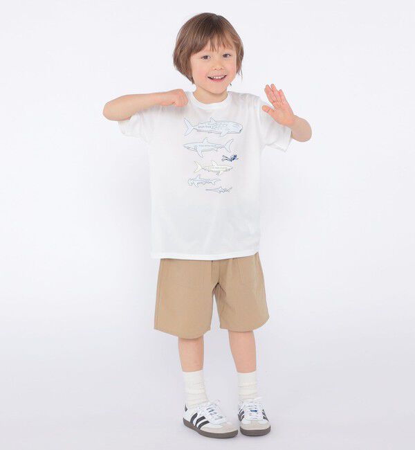 SHIPS KIDS「SHIPS KIDS:100～130m /〈接触冷感/吸水速乾〉シャーク フリーク TEE」|Tシャツ・カットソー|