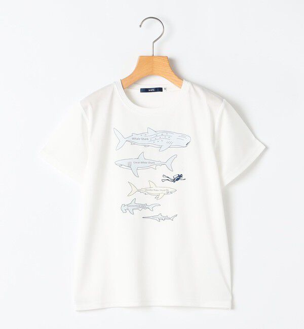 SHIPS KIDS「SHIPS KIDS:100～130m /〈接触冷感/吸水速乾〉シャーク フリーク TEE」|Tシャツ・カットソー|