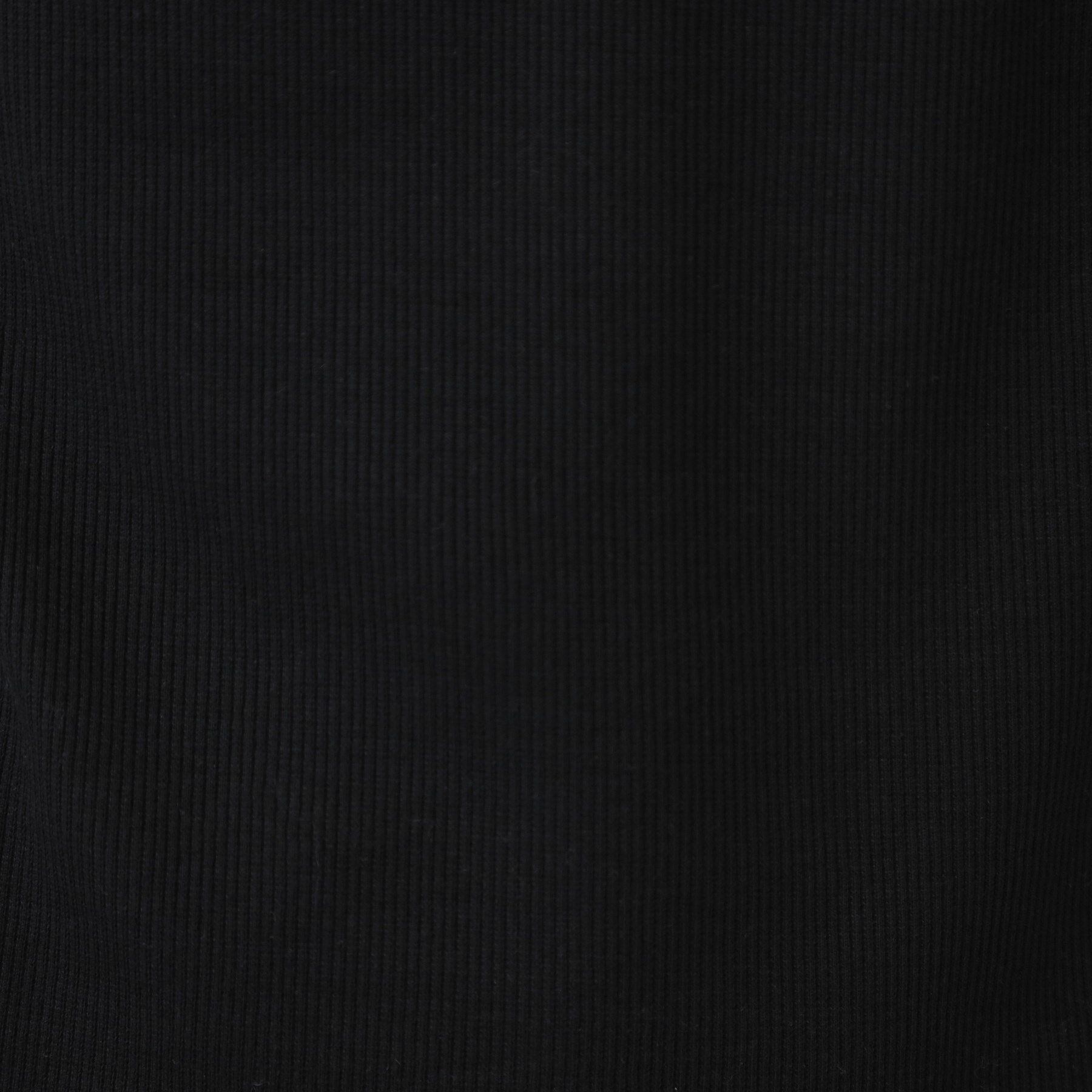 SHOO･LA･RUE「【S-LL】衿レースハイネックリブトップス」|Tシャツ・カットソー|