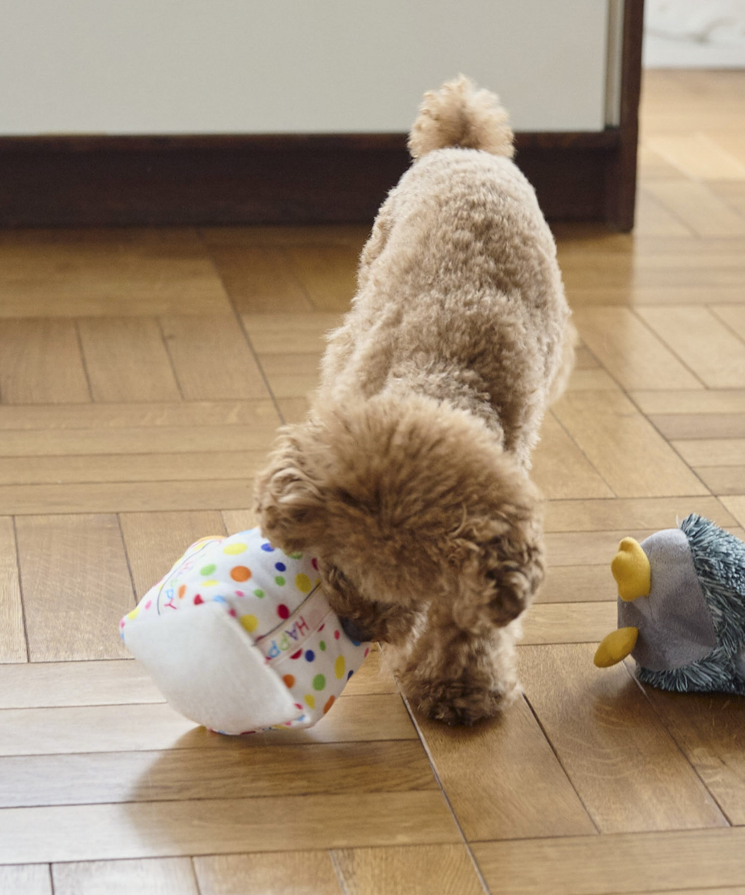ROPE PICNIC PASSAGE「【DOG】birthday ギフトボックストイ」|その他|