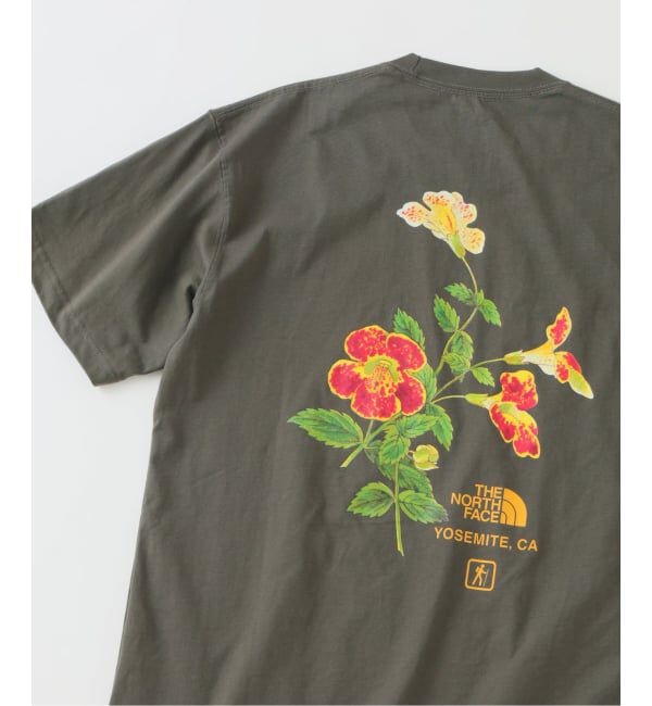JOURNAL STANDARD relume「《予約》THE NORTH FACE / ノースフェイス ヨセミテ フラワーティー」|Tシャツ・カットソー|