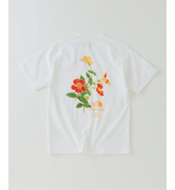 JOURNAL STANDARD relume「《予約》THE NORTH FACE / ノースフェイス ヨセミテ フラワーティー」|Tシャツ・カットソー|