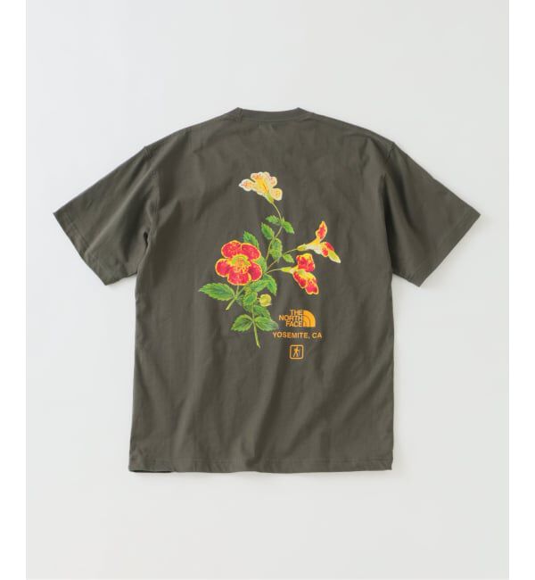 JOURNAL STANDARD relume「《予約》THE NORTH FACE / ノースフェイス ヨセミテ フラワーティー」|Tシャツ・カットソー|