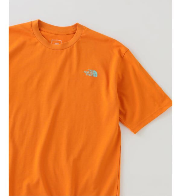 JOURNAL STANDARD relume「《予約》THE NORTH FACE / ノースフェイス レイバックトライバルティー」|Tシャツ・カットソー|
