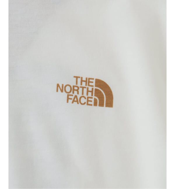 JOURNAL STANDARD relume「《予約》THE NORTH FACE / ノースフェイス レイバックトライバルティー」|Tシャツ・カットソー|