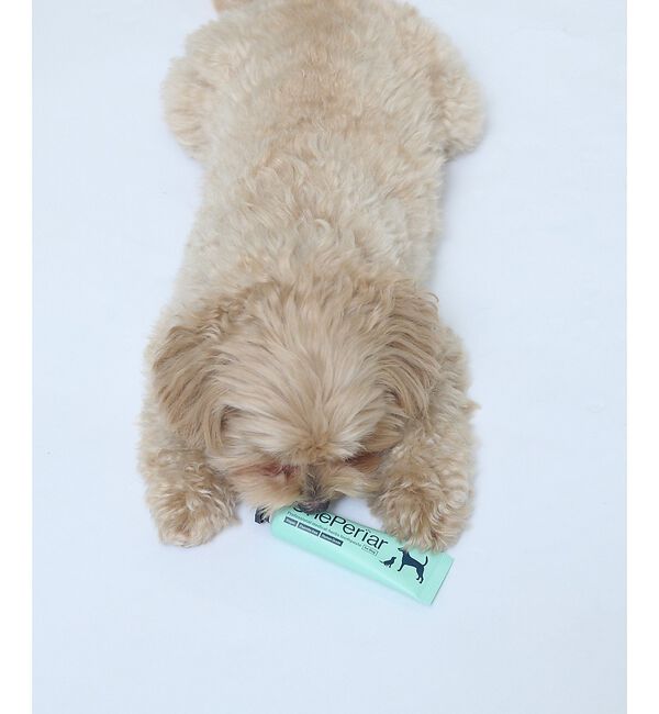 LOWELL things「★【OnePeriar】犬用歯磨きジェル【MATIE】」|その他|