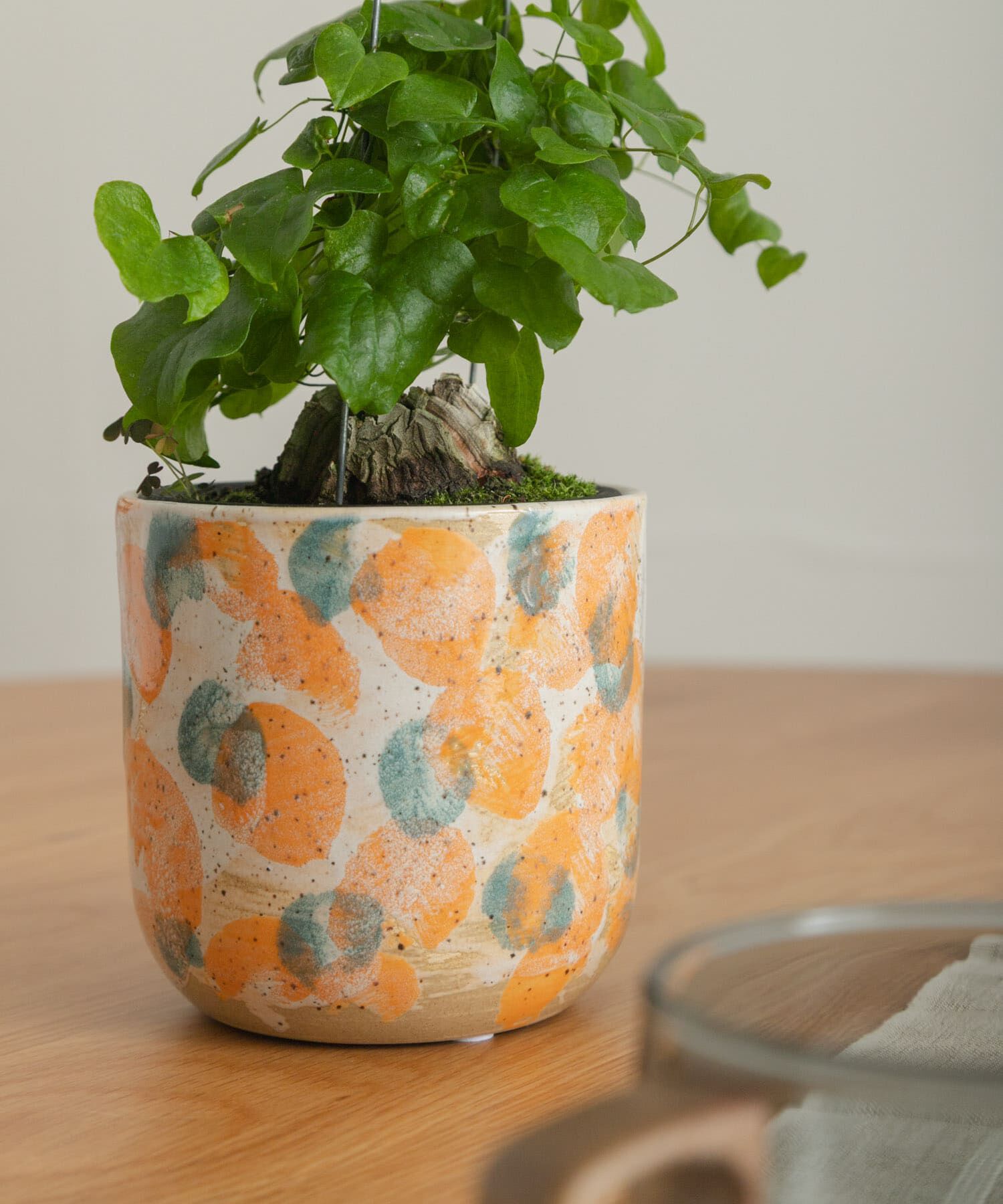 URBAN RESEARCH DOORS「Inter Plants Net　パレット 10.5」|フィギュア・ホビー|