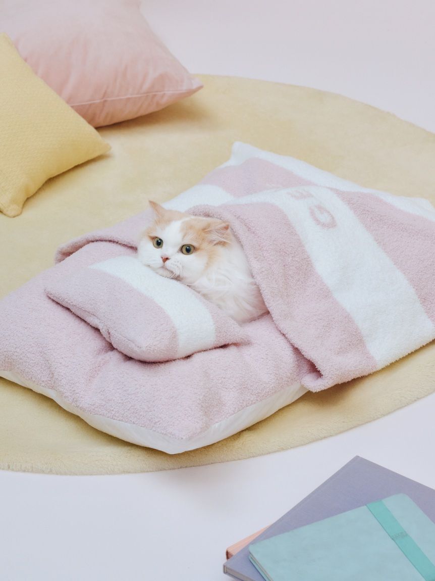  GELATO PIQUE CAT&DOG「【CAT&DOG】ベビモコおふとんセットL」|その他|