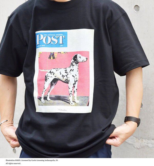 SHIPS any「SHIPS any: The Saturday Evening Post プリント Tシャツ◇」|Tシャツ・カットソー|