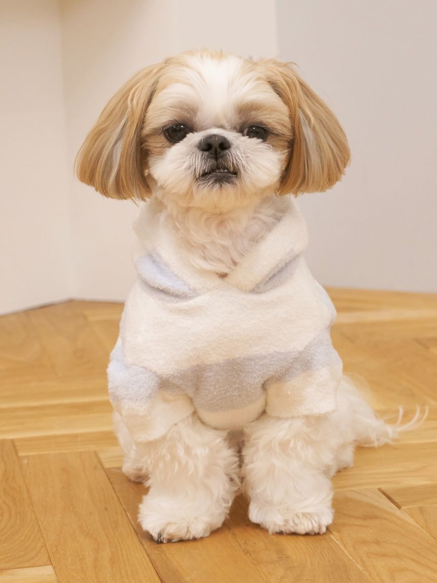  GELATO PIQUE CAT&DOG「【CAT&DOG】スムーズィーXLサイズ２ボーダーフーディー」|その他|
