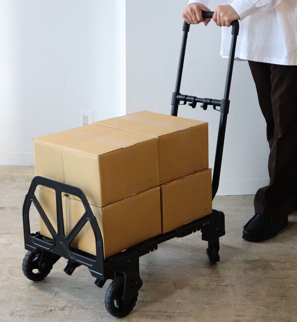 BEAMS「花岡車輌 / FLAT CART 2&times;4 BLACK」|その他|