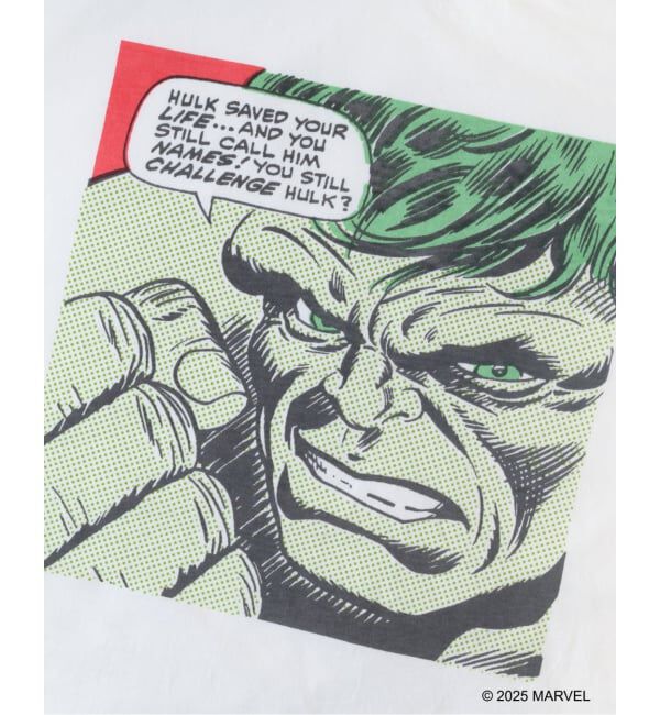 JOINT WORKS「VARIEGATOR / ヴァリゲイター Hulk /Tee」|Tシャツ・カットソー|