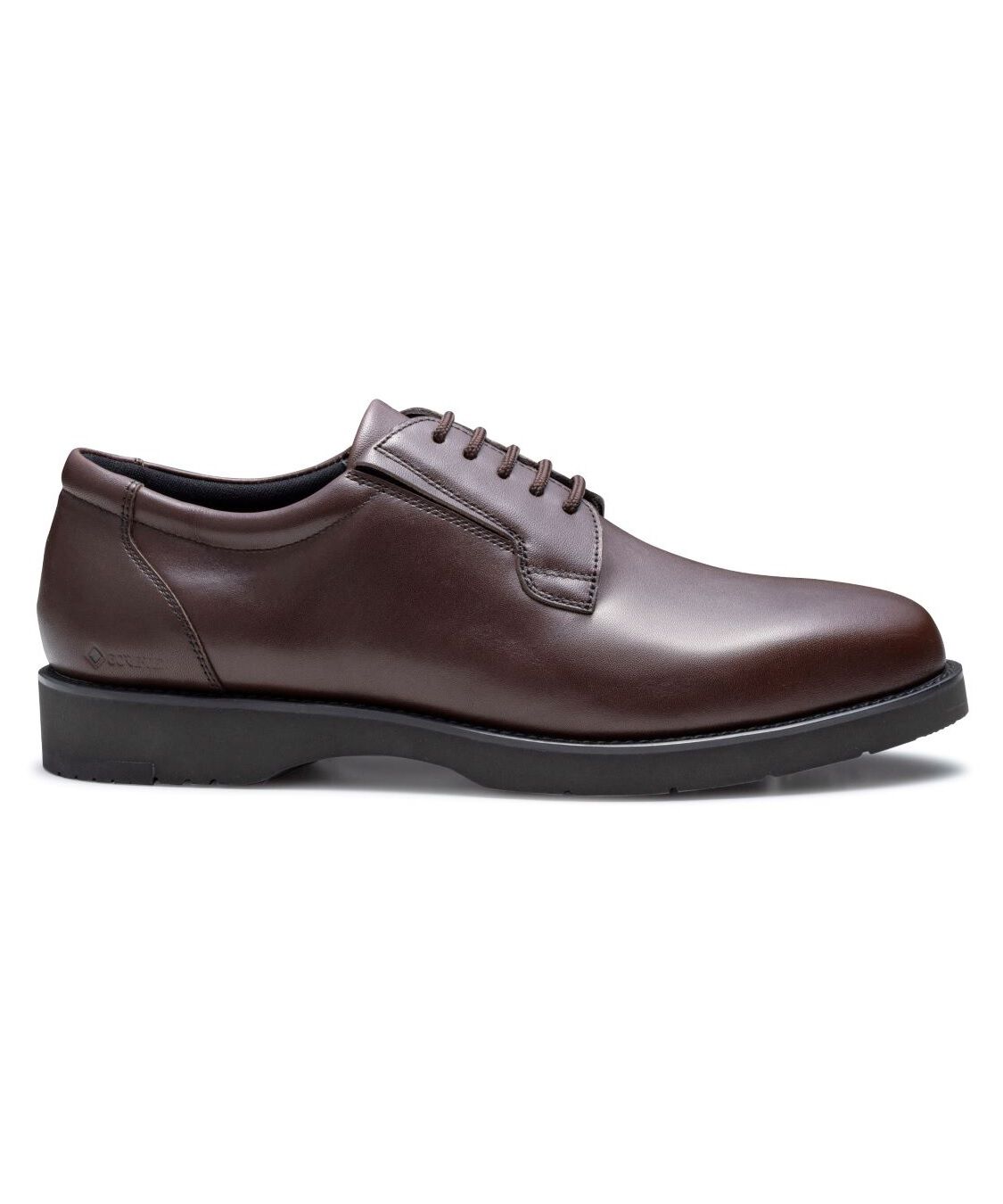 REGAL SHOES「REGAL プレーントウ（GORE-TEX フットウェア）　商品コード：80JLBG」|レインシューズ|ダークブラウン