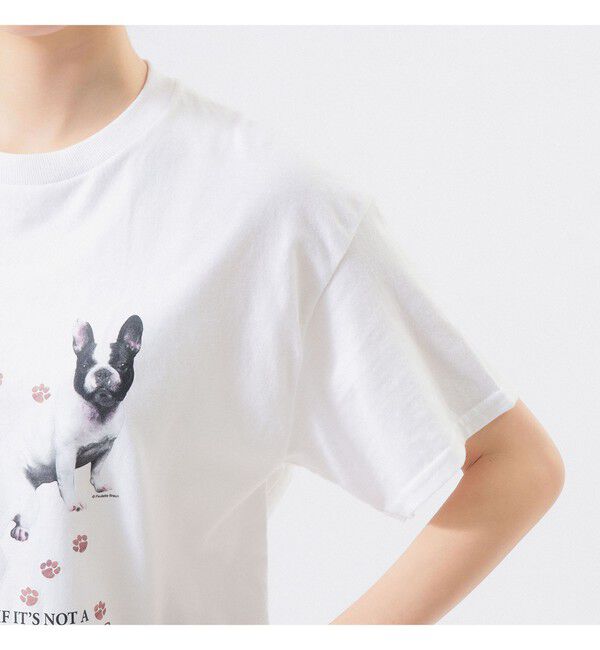 BEAMSBOY「【別注】CHED / DOG Tシャツ」|Tシャツ・カットソー|