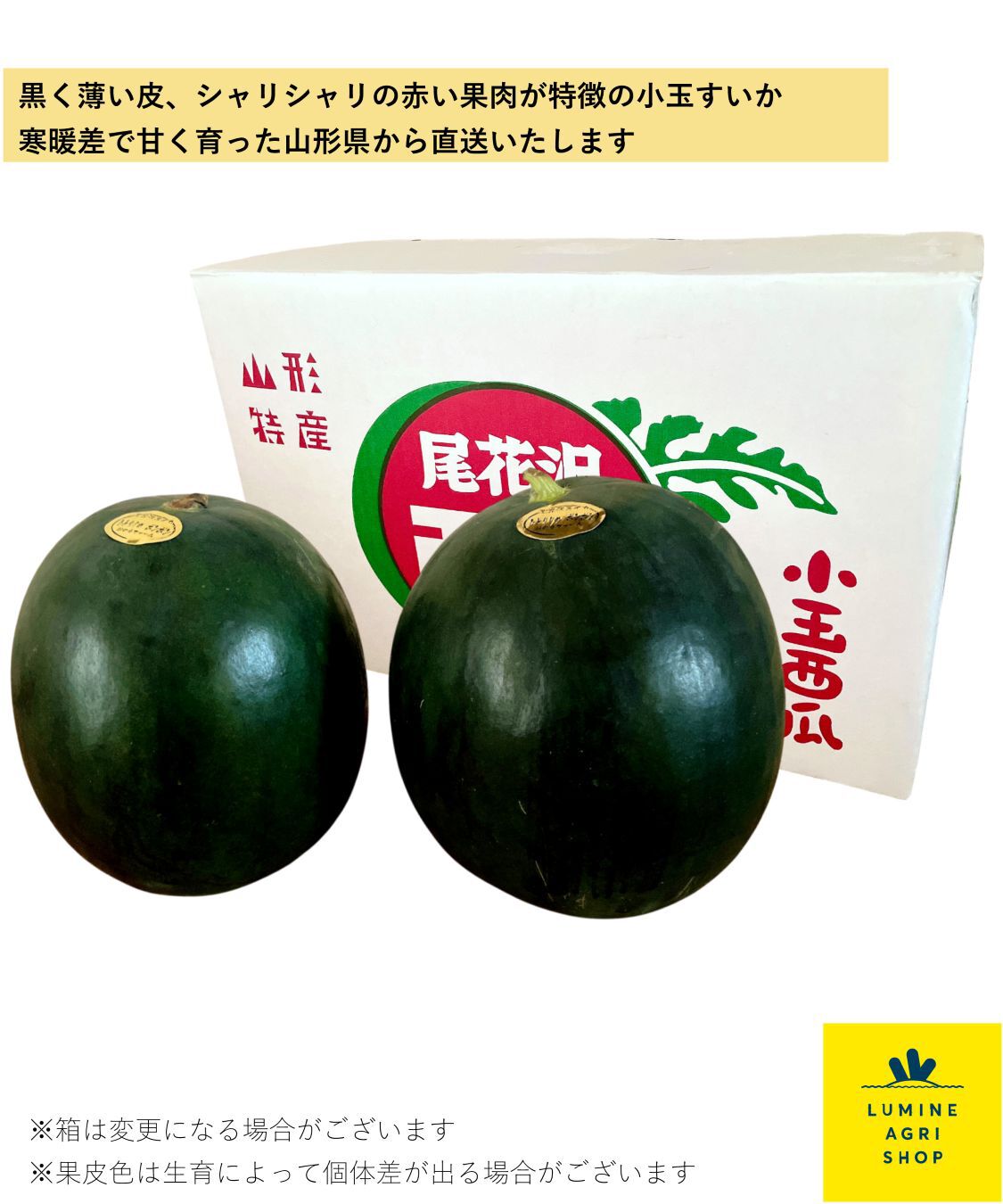 LUMINE AGRI SHOP「シャリシャリ小玉すいか&ldquo;ひとりじめボンボン&rdquo;2玉」|果物・野菜|