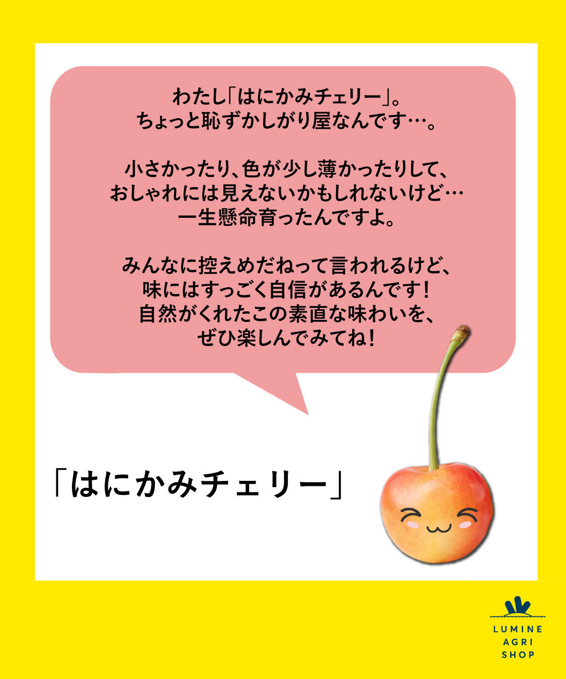 LUMINE AGRI SHOP「【のびのび応援便】はにかみチェリー600g」|果物・野菜|
