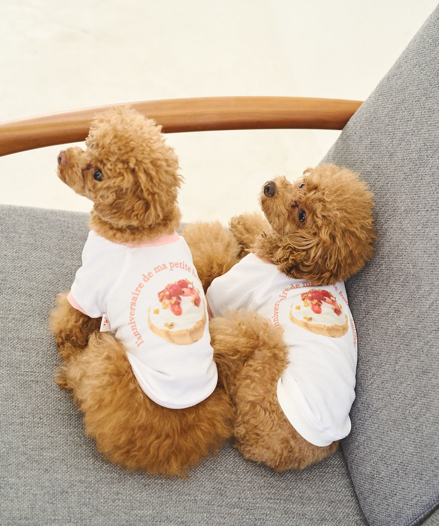 ROPE PICNIC PASSAGE「【comif(コミフ)&times;ROPE' PICNIC】【DOG】バースデーミニタルトTシャツ」|その他|