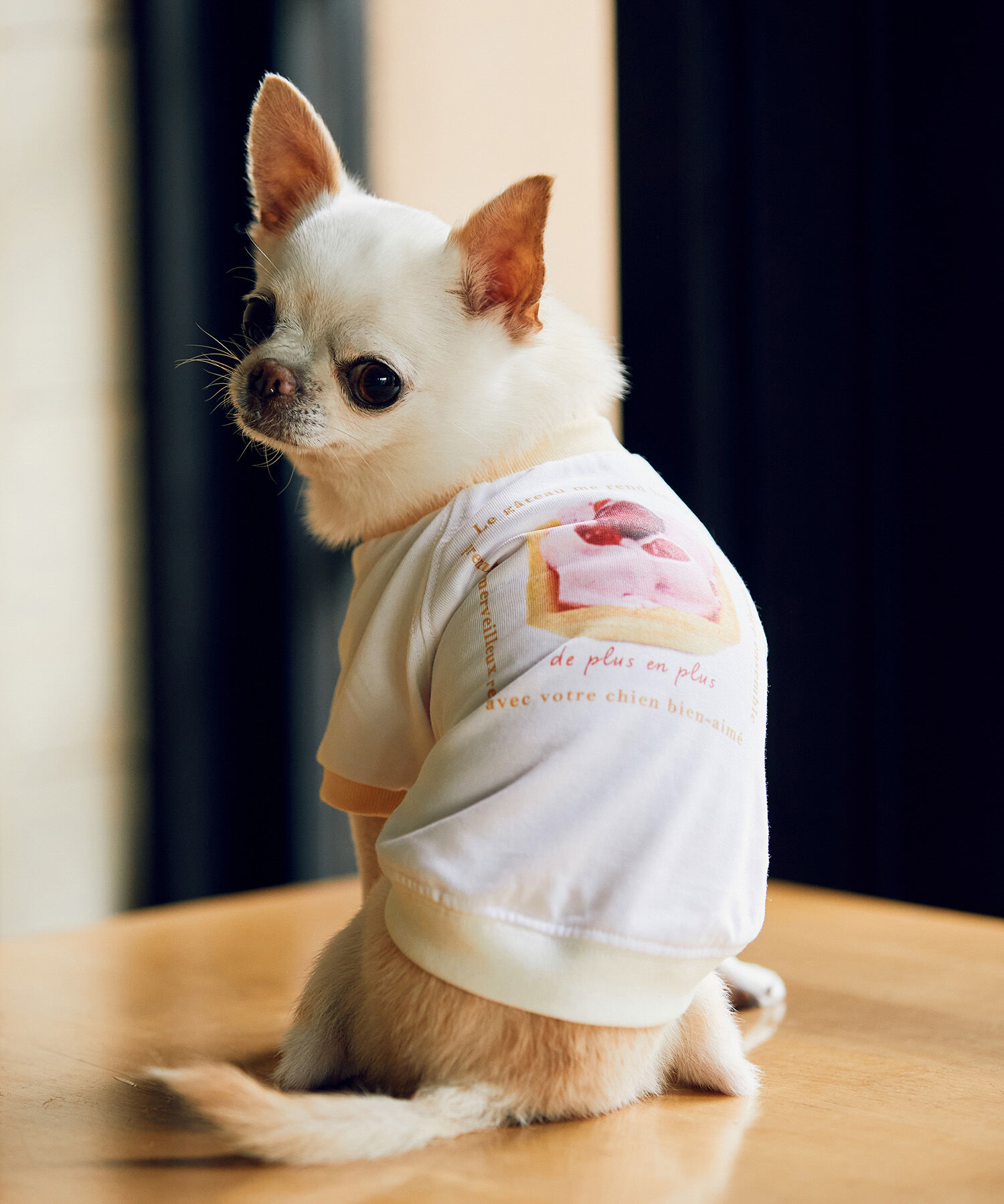 ROPE PICNIC PASSAGE「【comif(コミフ)&times;ROPE' PICNIC】【DOG】バースデーミニタルトTシャツ」|その他|