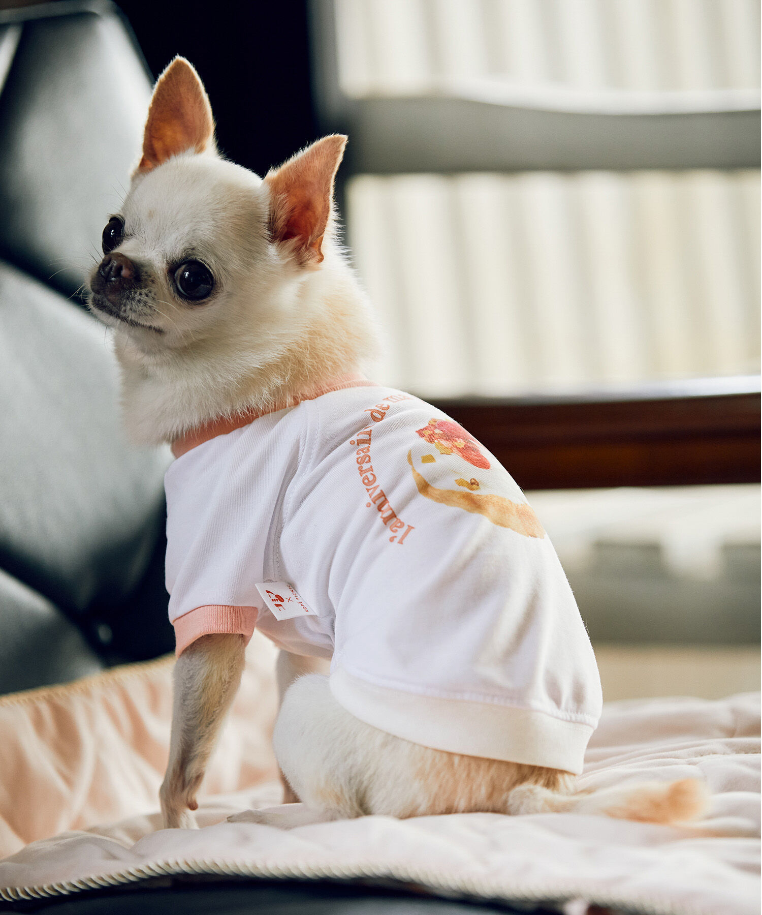 ROPE PICNIC PASSAGE「【comif(コミフ)&times;ROPE' PICNIC】【DOG】バースデーミニタルトTシャツ」|その他|