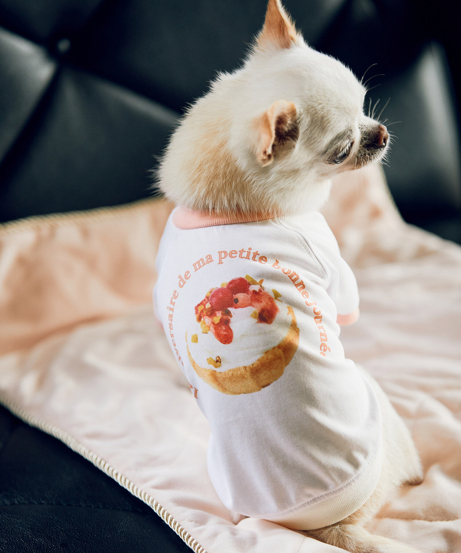 ROPE PICNIC PASSAGE「【comif(コミフ)&times;ROPE' PICNIC】【DOG】バースデーミニタルトTシャツ」|その他|