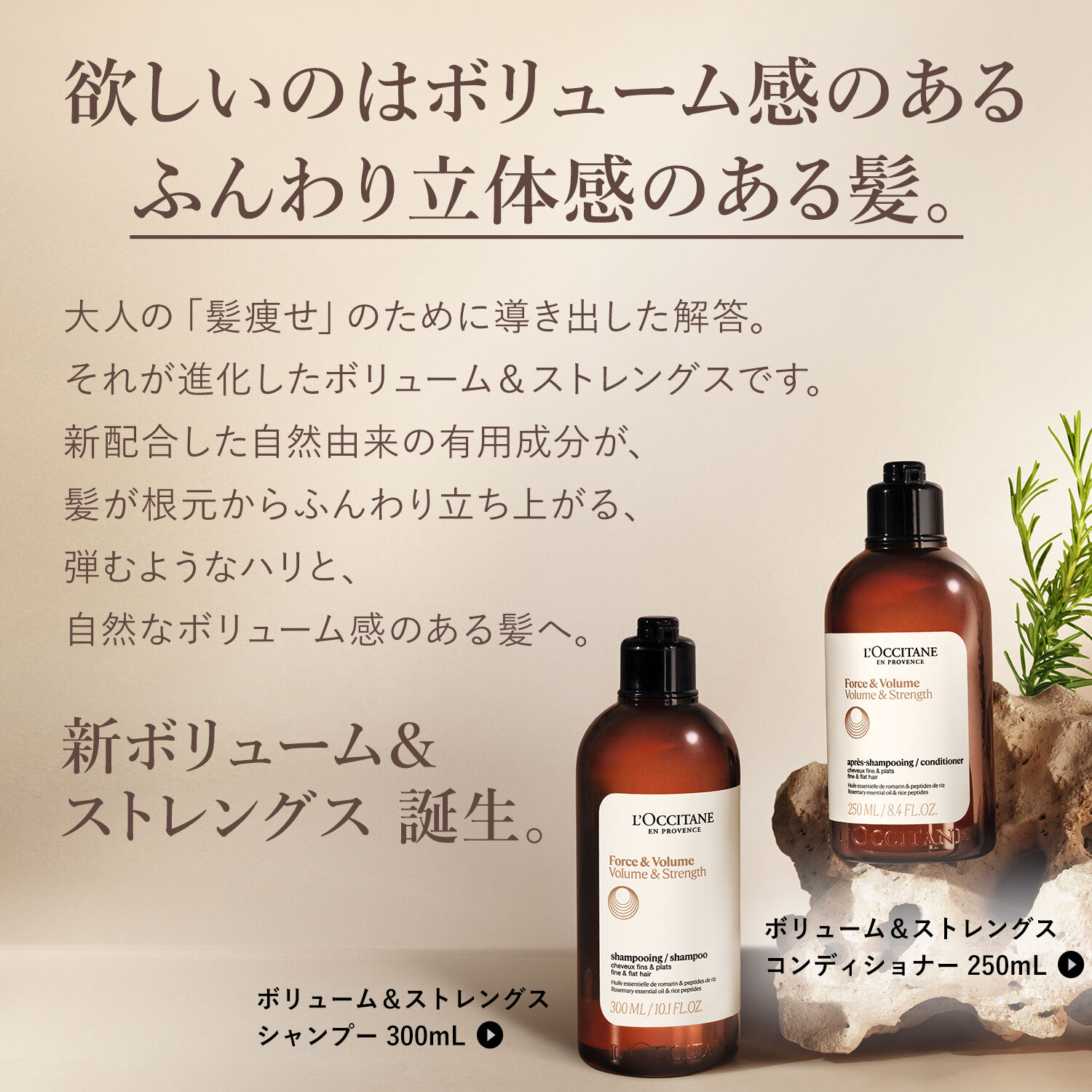 L&rsquo;OCCITANE「ボリューム＆ストレングス コンディショナー250mL」|コンディショナー・トリートメント|