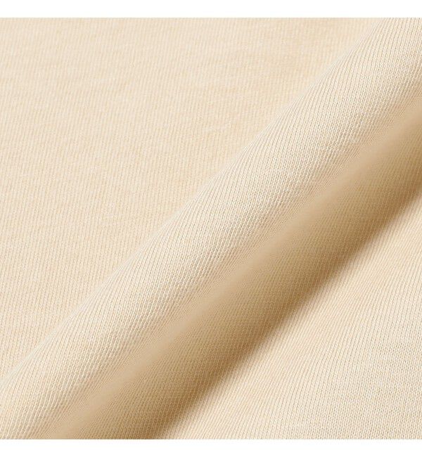 Ray BEAMS 「【WEB限定】DANTON / ショート Tシャツ」|Tシャツ・カットソー|