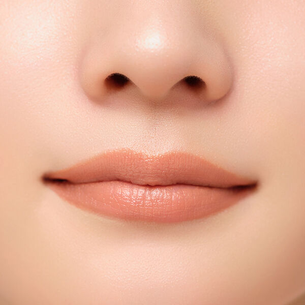  「DIDION PLUMPING LIPSTICK 09 Classy Skin (3.5g)」|リップメイク|