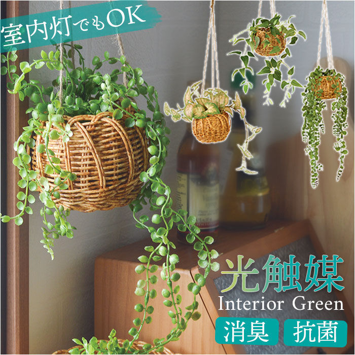 BACKYARD FAMILY「光触媒 フェイクグリーン 通販 観葉植物 人工観葉植物 ハンギング 吊り下げ ハンギングバスケット」|その他|