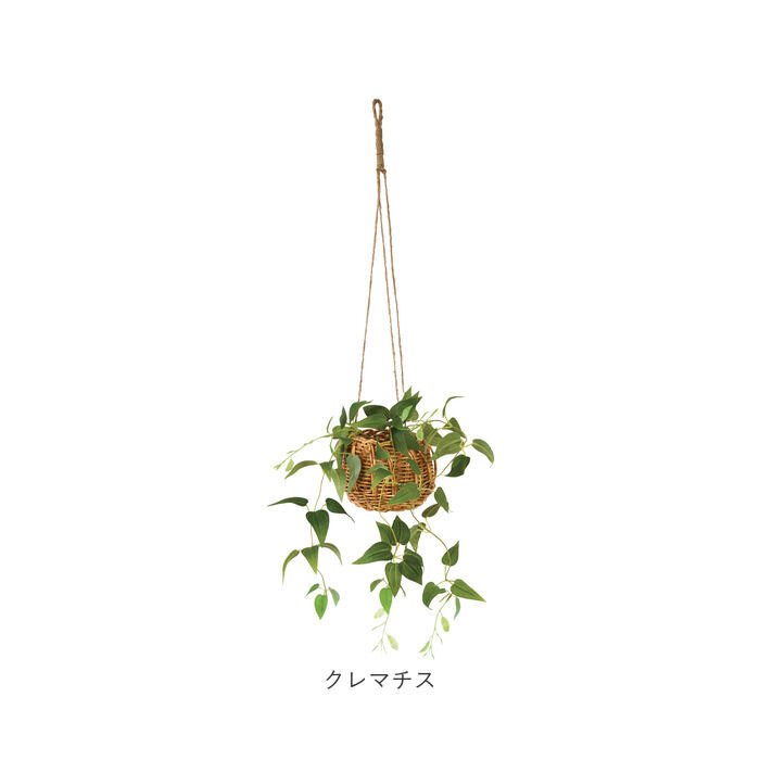 BACKYARD FAMILY「光触媒 フェイクグリーン 通販 観葉植物 人工観葉植物 ハンギング 吊り下げ ハンギングバスケット」|その他|