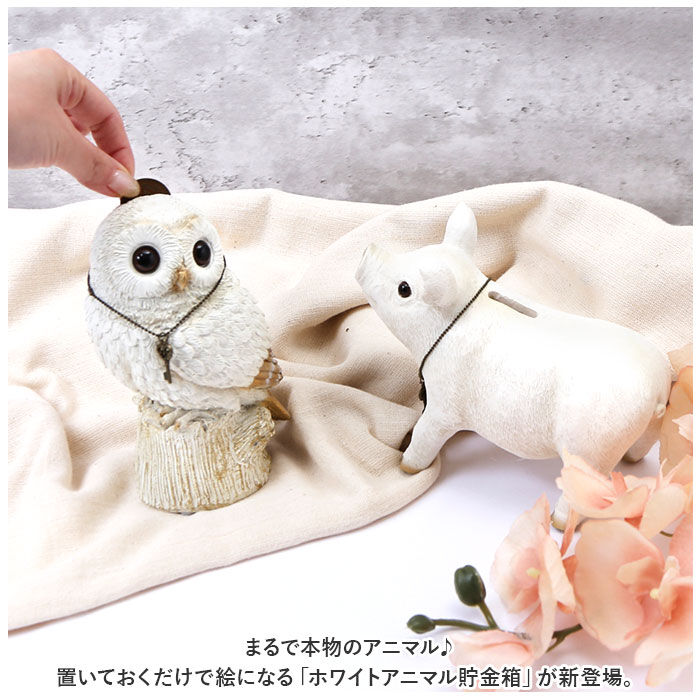 BACKYARD FAMILY「アニマル 貯金箱 通販 アニマル貯金箱 コイン オブジェ 置物 室内用 室内 動物 ホワイト 白」|その他|