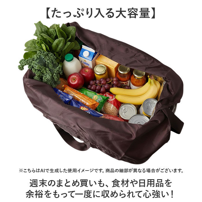 BACKYARD FAMILY「ショッピングリュック 保冷 通販 レジかご対応 大容量 レジカゴ トートバッグ リュック 2way」|エコバッグ|