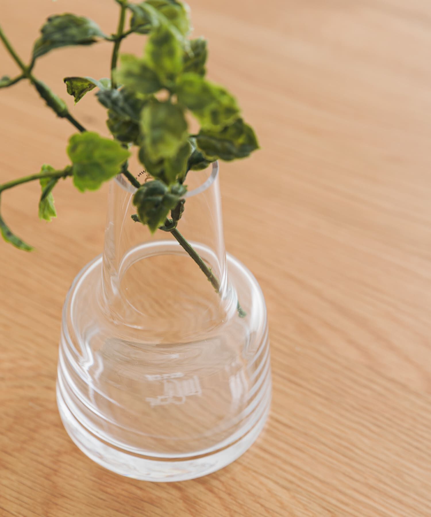 URBAN RESEARCH DOORS「HOLMEGAARD　Flora vase H12cm medium neck」|フラワーベース|