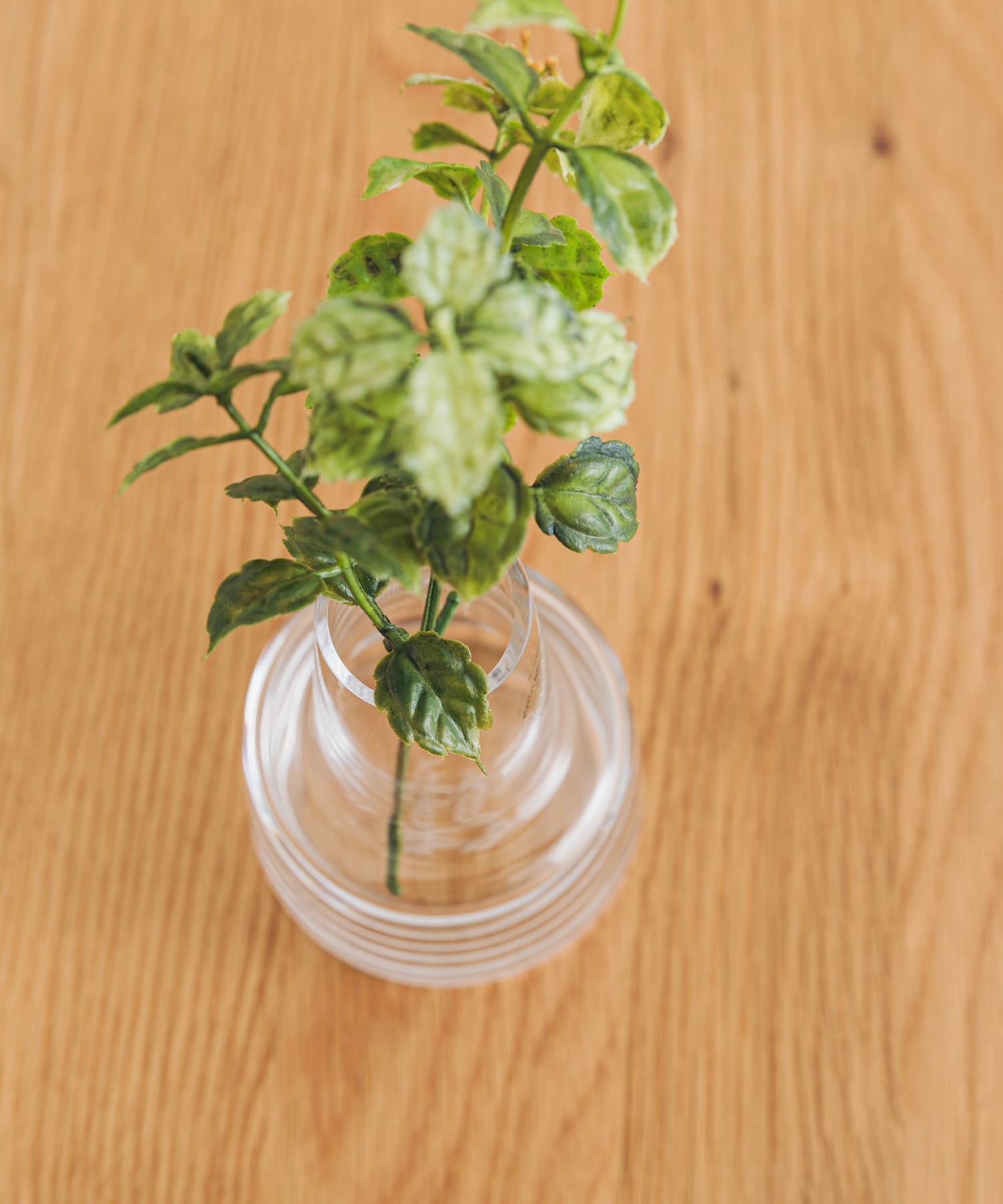 URBAN RESEARCH DOORS「HOLMEGAARD　Flora vase H12cm medium neck」|フラワーベース|