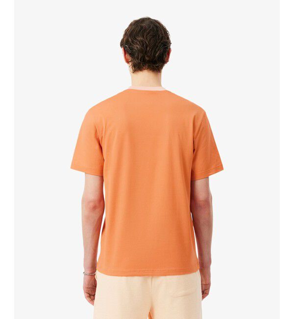 LACOSTE「配色ネックリブリンガーネックTシャツ」|Tシャツ・カットソー|