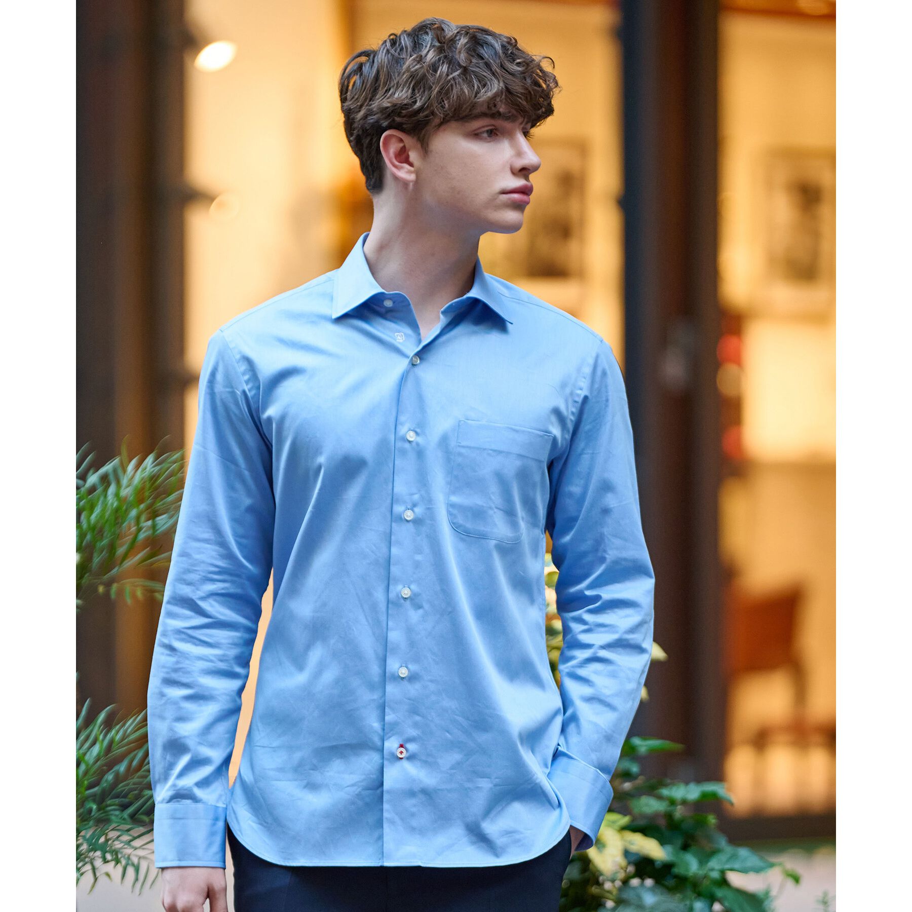 DRESSTERIOR「100／2 ワイドカラーシャツ」|シャツ・ブラウス|