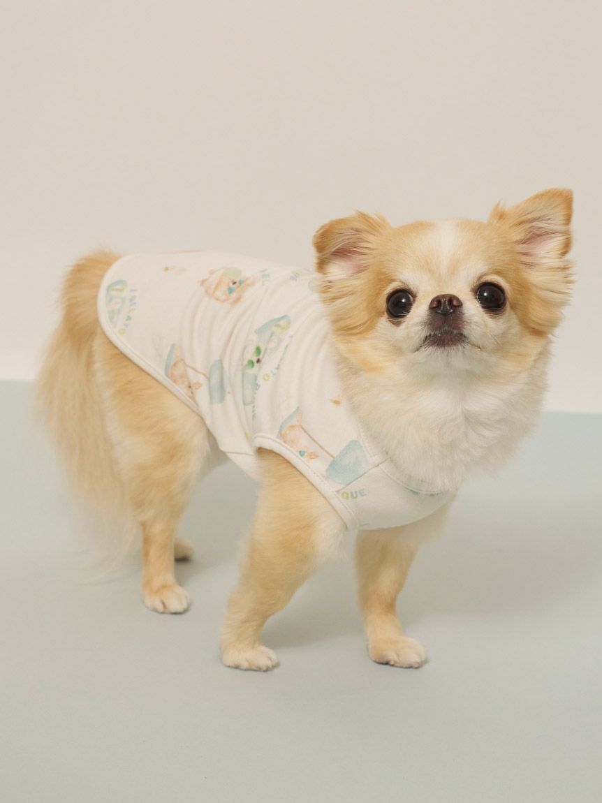  GELATO PIQUE CAT&DOG「【CAT&DOG】【接触冷感】ビーチ マルチーズ ポメラニアン チワワ柄Coolingプルオーバー」|その他|