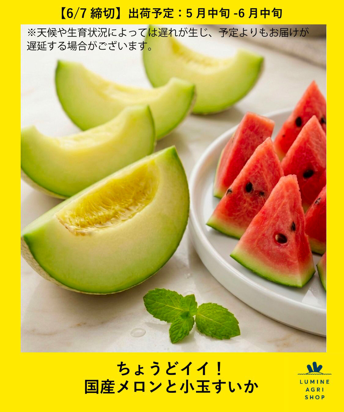 LUMINE AGRI SHOP「ちょうどイイ！国産メロンと小玉すいか」|果物・野菜|その他