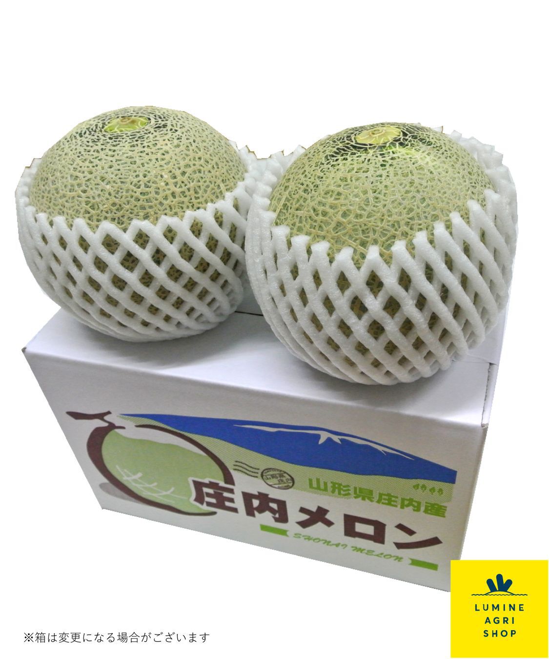 LUMINE AGRI SHOP「甘さ凝縮！山形生まれ砂丘育ちの庄内メロン2玉」|果物・野菜|
