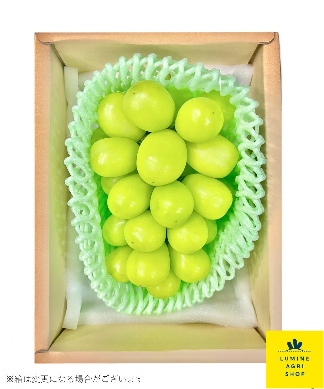LUMINE AGRI SHOP「山梨季節先採り&ldquo;ハウスシャインマスカット&rdquo;1房」|果物・野菜|