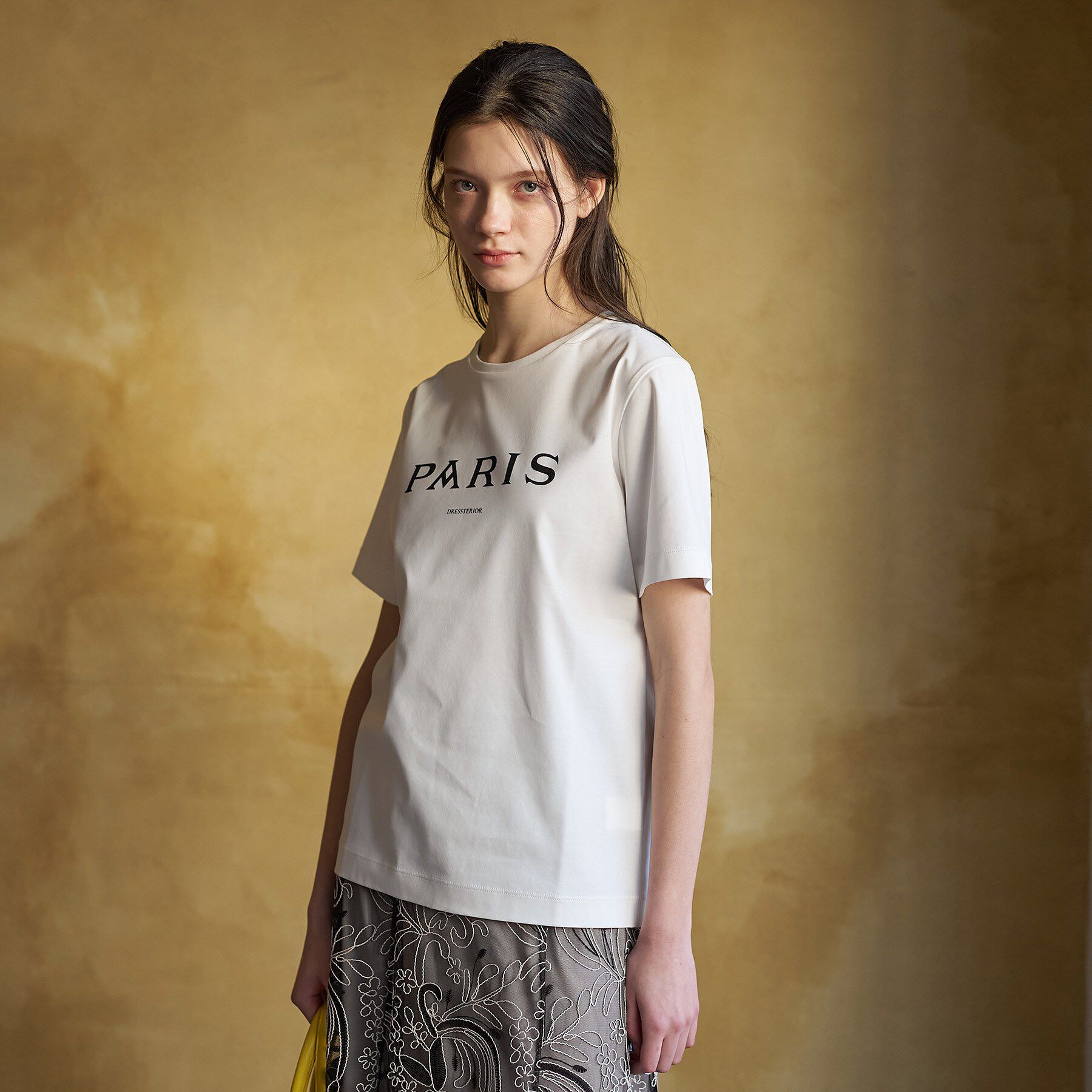 DRESSTERIOR「【接触冷感／抗菌防臭／消臭】アイスクリアコットン PARIS Tシャツ」|Tシャツ・カットソー|