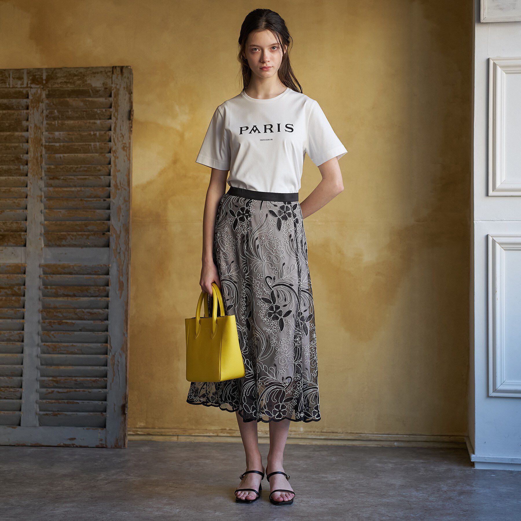 DRESSTERIOR「【接触冷感／抗菌防臭／消臭】アイスクリアコットン PARIS Tシャツ」|Tシャツ・カットソー|