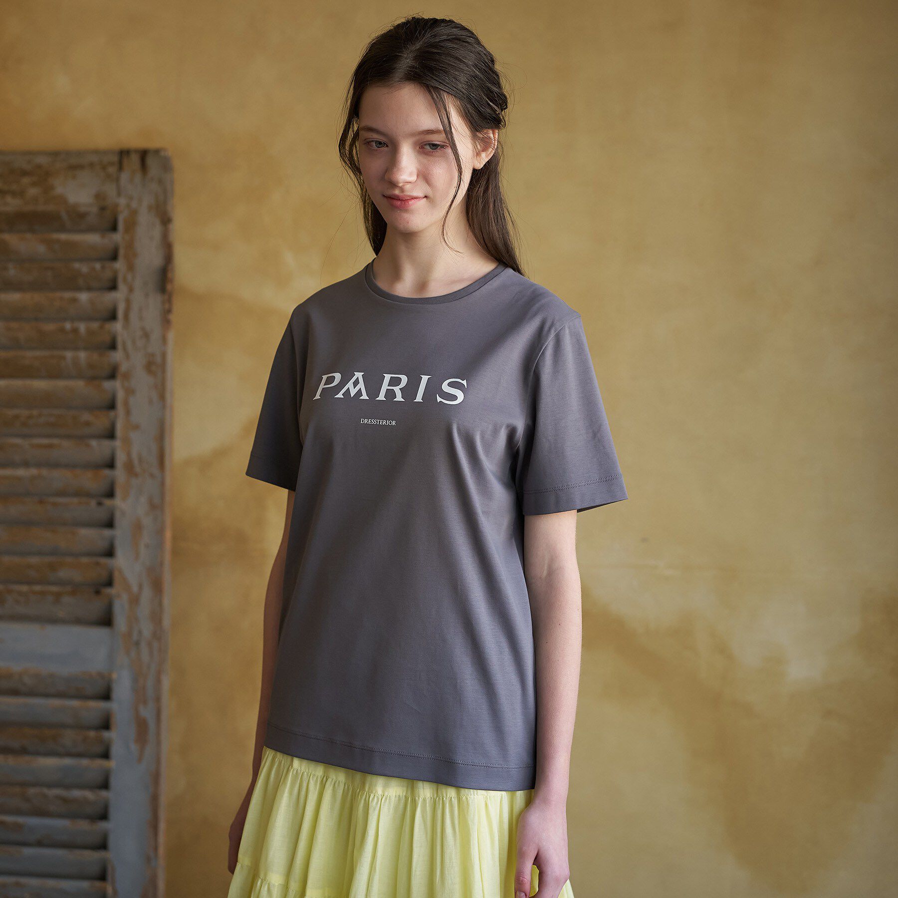 DRESSTERIOR「【接触冷感／抗菌防臭／消臭】アイスクリアコットン PARIS Tシャツ」|Tシャツ・カットソー|