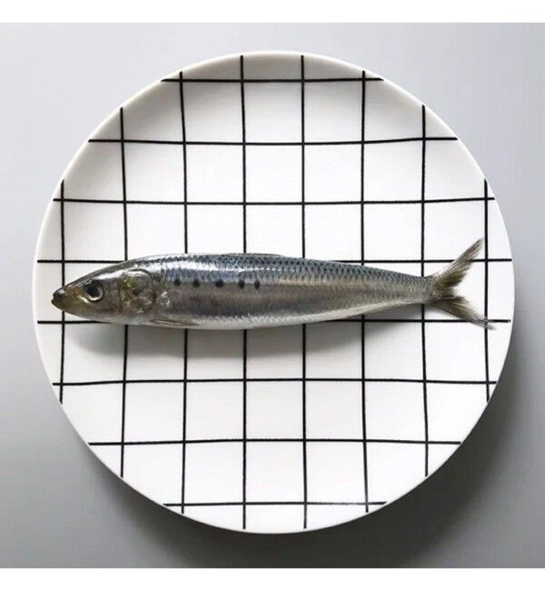 BEAMS「Swimsuit Department / "Grid" Dinner Plate」|食器・キッチングッズ|BLACK_GRID