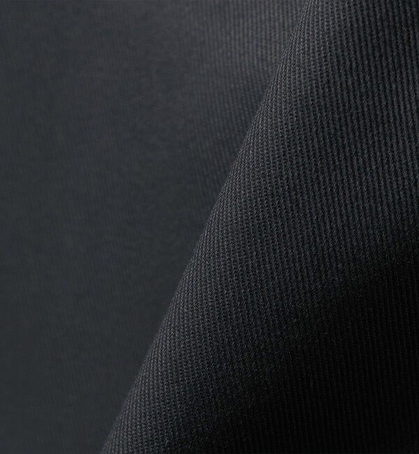 SHIPS any「Dickies:〈洗濯機可能〉TC ツイル オーバーオール」|オールインワン|