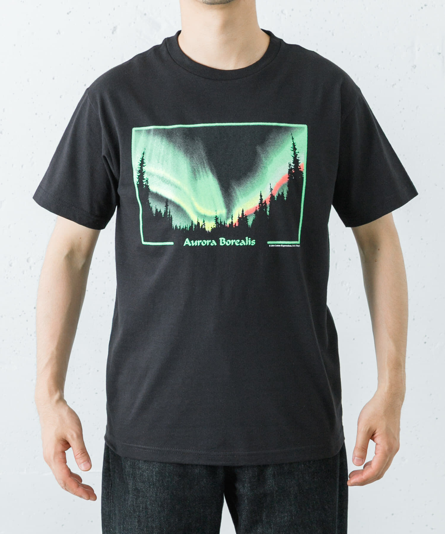 URBAN RESEARCH「Cotton Expressions　AURORA T-SHIRTS」|Tシャツ・カットソー|