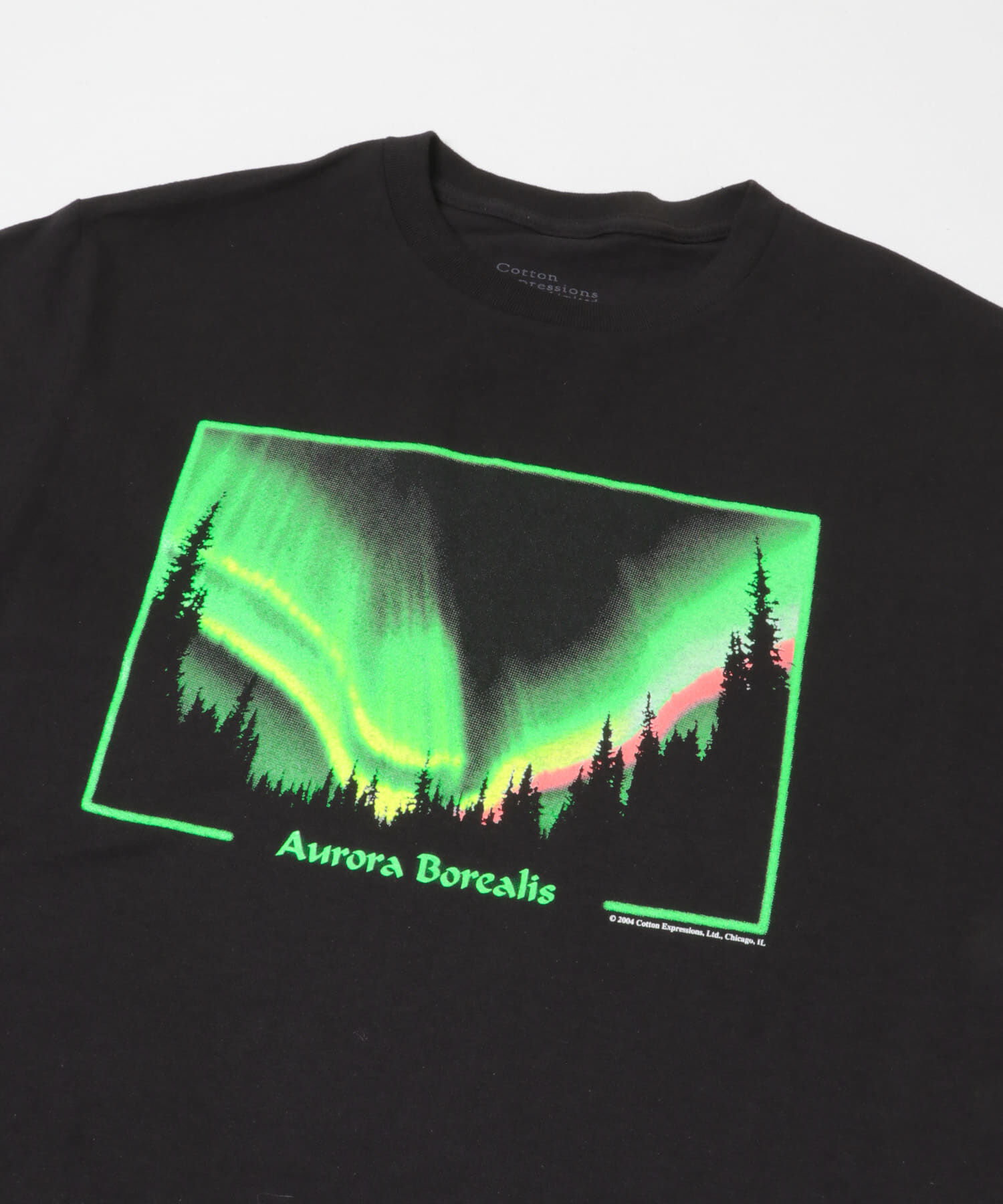 URBAN RESEARCH「Cotton Expressions　AURORA T-SHIRTS」|Tシャツ・カットソー|